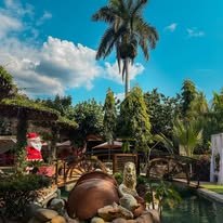 Jardín con fuente y naturaleza