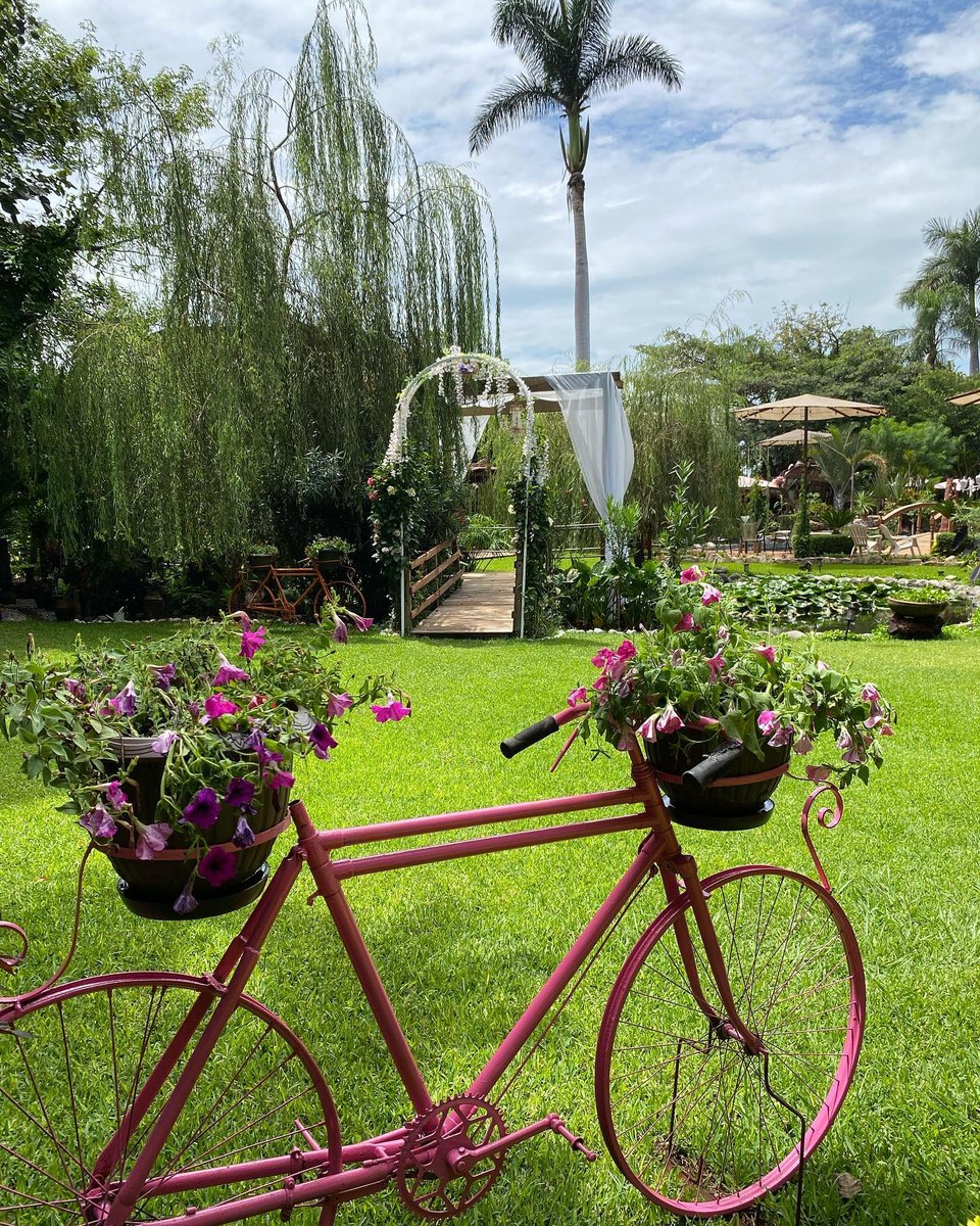 Bicicleta decorativa con flores en jardín